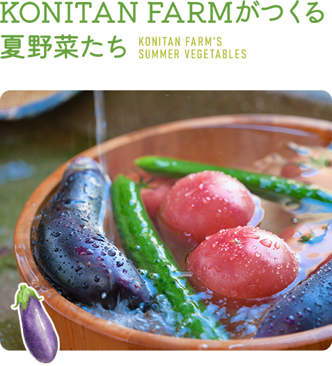 夏野菜 | 有機野菜販売なら兵庫県三田市のKONITAN FARM