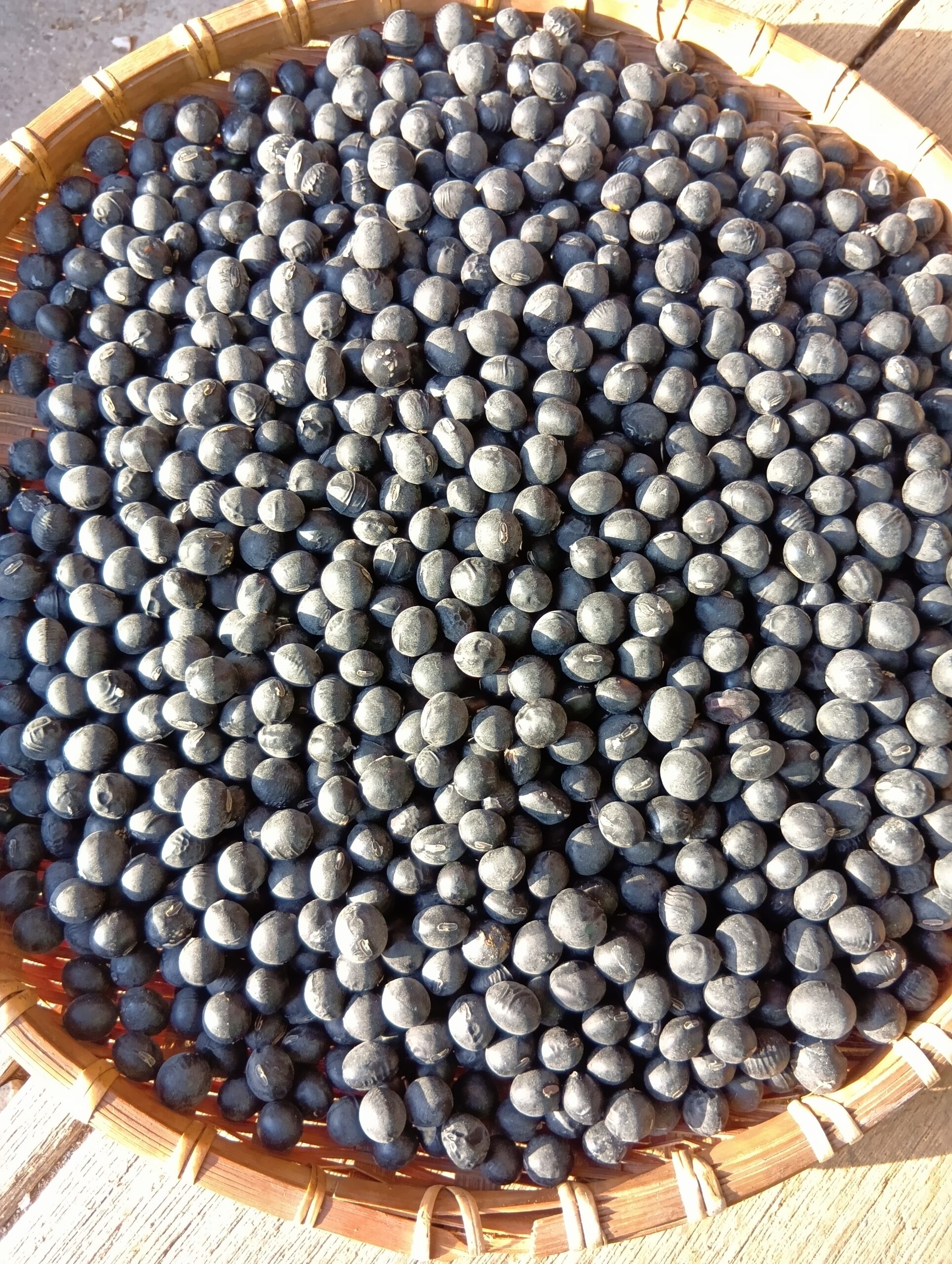 黒豆販売のお知らせ