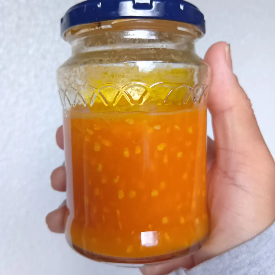 トマト🍅の種採りをした残りをトマトソースに！